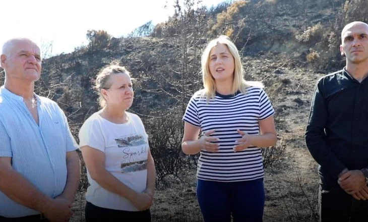 Dëmet nga zjarret, Zhupa nga Delvina: Qeveria të dëmshpërblejë banorët