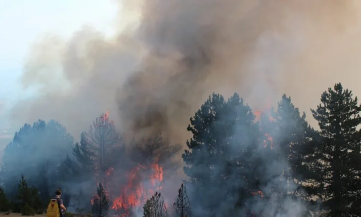 Dhjetëra vatra aktive, shkak temperaturat e larta
