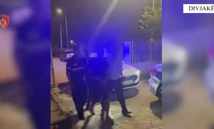 Divjakë/ Vuri zjarr në fshatin Kryekuq u dogjën dhjetëra rrënjë ullinj, arrestohet 41-vjeçari