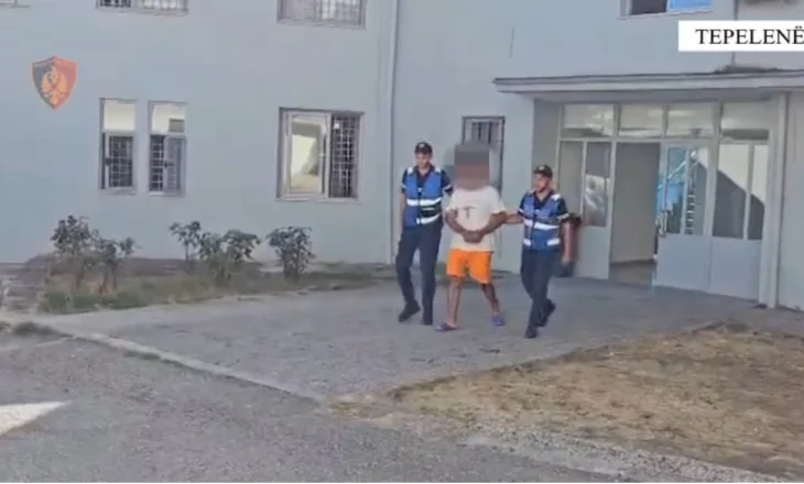 Dogji 5 stane në dy fshatra, arrestohet piromani nga Tepelena