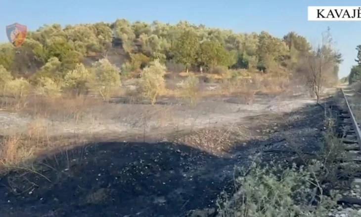 Dogji një sipërfaqe të madhe toke me pemë frutore, arrestohet autori në Kavajë