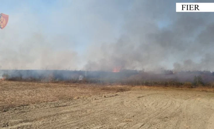 Dogji qëllimisht tokën me shkurre, vihet në pranga 41 vjeçari në Fier (Emri)