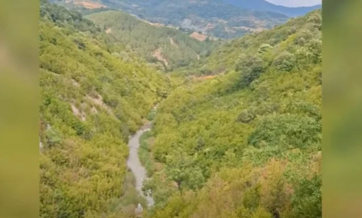Doli për të kërkuar qenin që i ruante bagëtitë, ende asnjë gjurmë nga 56-vjeçari në Elbasan! Gjendet kafsha por jo ai