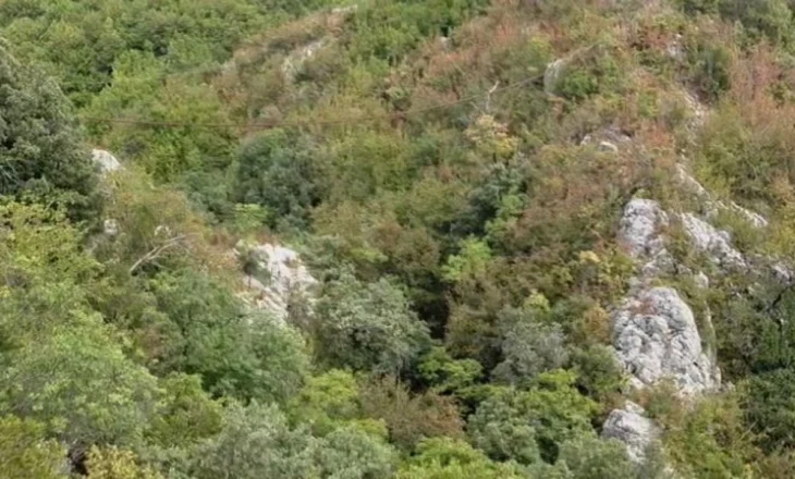 Doli për të kërkuar qenin që i ruante bagëtitë, shpallet i humbur 56-vjeçari në Elbasan/ Dyshimet e para
