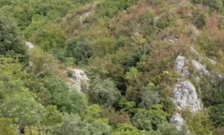 Doli për të kërkuar qenin që i ruante bagëtitë, shpallet i humbur 56-vjeçari në Elbasan