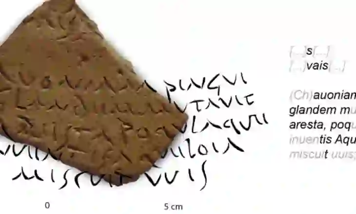 Dy vargje të Virgjilit të gjetura në një fragment të një amfore romake: Kush (dhe pse) i gdhendi ato?