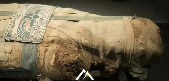 Egjiptianët e lashtë kanë udhëtuar në Amerikë që në vitin 1000 p.e.s!?