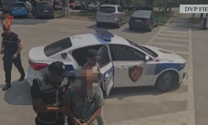 EMRAT/ Ndezën zjarre në parkun kombëtar të Vjosës dhe në Lushnjë, identifikohen dhe arrestohen 2 shtetas