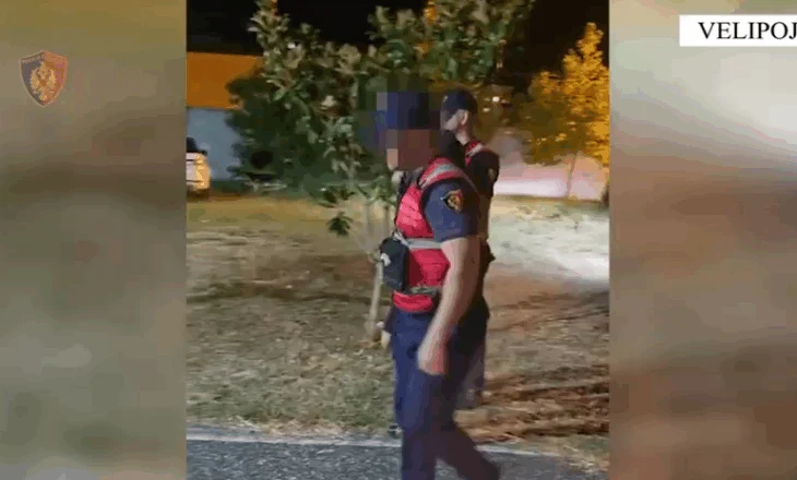 EMRI/ U kap me armë dhe drogë, përfundon në pranga 22-vjeçari në Velipojë