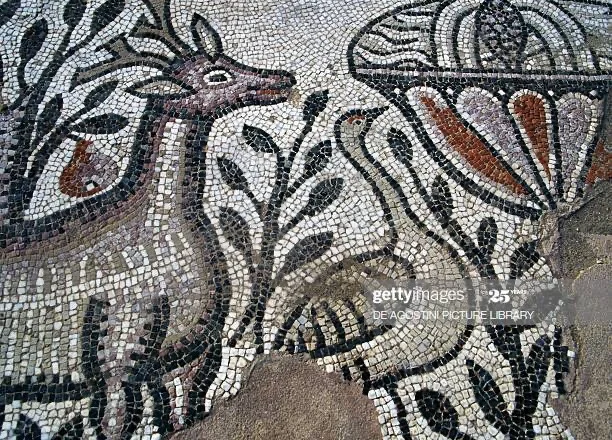 Etimologjia e emrit “Drenicë” dhe trashëgimia￼￼