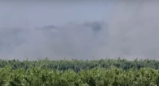Fier/ Fermerët djegin mbetjet e të mbjellave, zjarri del jashtë kontrolli, fshati mbulohet nga tymi