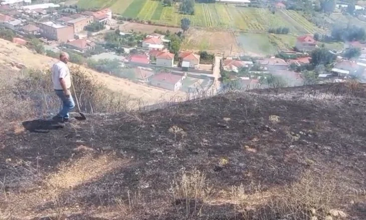 Fiket zjarri në kodrat e Vloçishtit/ Shpëtohen mrekullisht, tre stalla me bagëti