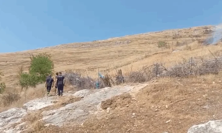 Fiket zjarri në kodrat e Vloçishtit, shpëtohen tre stalla me bagëti