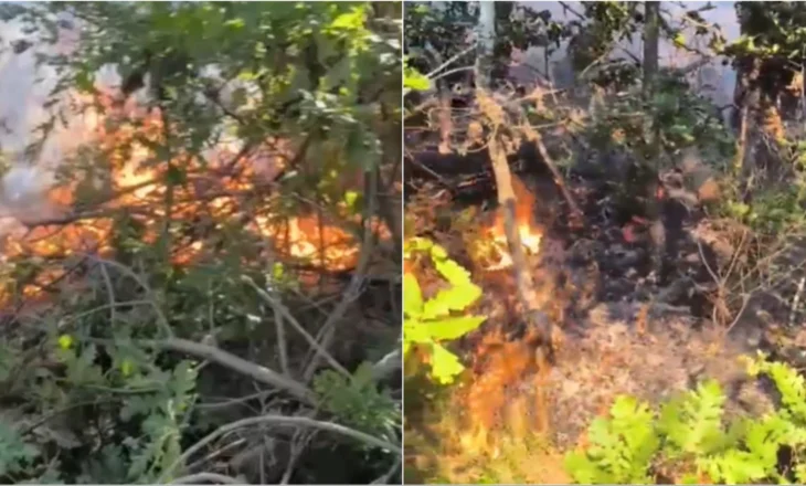 Flakët përfshijnë një sipërfaqe pyjore në Devoll, ndërhyjnë zjarrfikësit