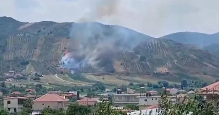 Flakët pushtojnë Grykshin e Peqinit/ Zjarri shkrumbon ullinj e shkurre, ndërhyjnë banorët