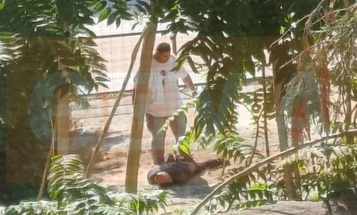 FOTO-LAJM/ I shtrirë në tokë dhe me pranga në duar, ja momenti i arrestimit të shqiptarit që vrau gruan në Greqi