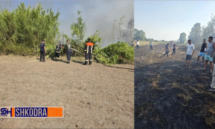 FOTO – Rrezikonte banesat në zonën e Velipojës, 43 persona dhe 5 mjete mundësuan fikjen e zjarrit…