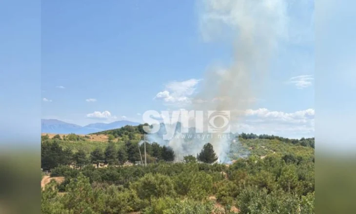 FOTO/ Vatër zjarri në fshatin Lin, flakët afër banesave