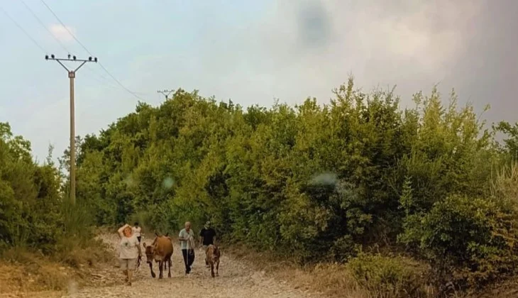 FOTOLAJM/ Zjarri ‘dëbon’ banorët në Gramsh, familjet largohen me lot në sy