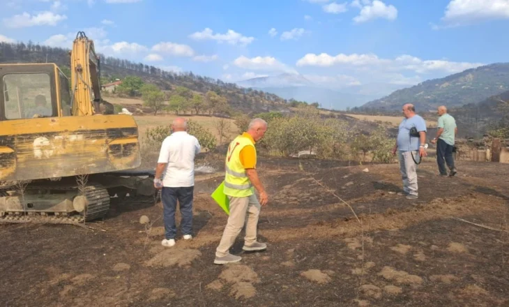 Frika për përhapjen e sëmundjeve, nis groposja e kafshëve të ngordhura në Gramsh