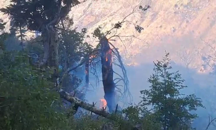 Gjirokastër, izolohet zjarri në Skërficë
