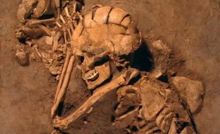 Gruaja Natufiane e gjetur pranë një qenushi në një varr parahistorik