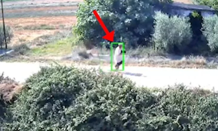 I vunë flakën Shqipërisë, arrestohen 8 piromanë  