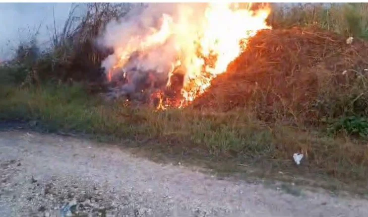 I vuri flakën mbeturinave, zjarri përfshiu sipërfaqe toke e pemë frutore, arrestohet 47-vjeçari në Kavajë