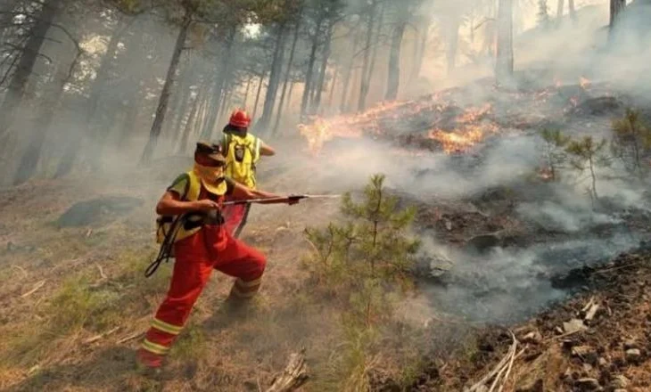 I vuri zjarrin një sipërfaqeje me bimësi, arrestohet 20-vjeçari në Finiq
