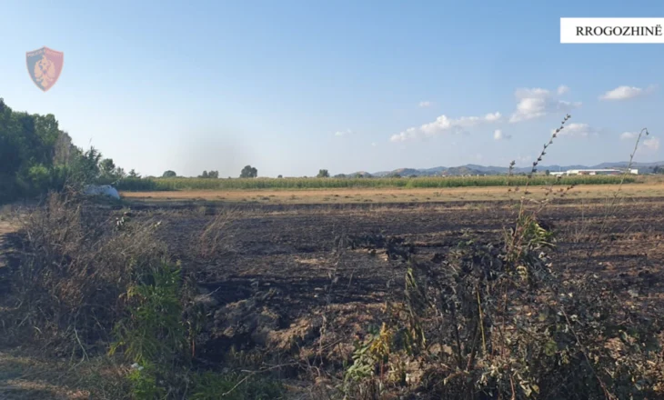 Identifikohen dhe procedohen penalisht 2 shtetas/ Ndezën zjarre që shkaktuan dëme, në tokat private