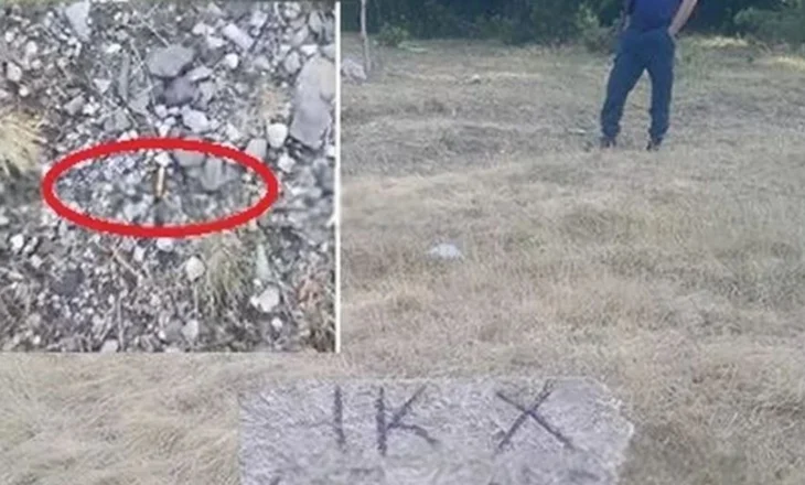 “Ik se do të vdesësh”/ Të shtëna me armë në pyllin e Munellës, fermeri denoncon i tmerruar