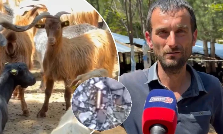 “Ik se do vdesësh”/ Fermeri në Pukë flet pas incidentit: U zgjuam me krisma armësh, kam pasur një konflikt verbal me…