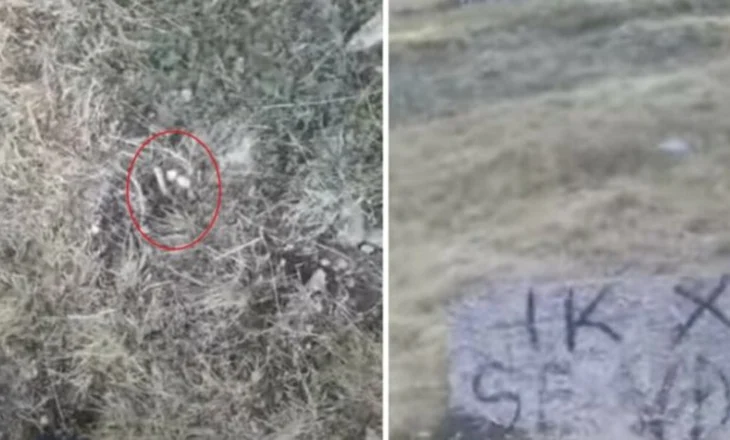 “Ik se do vdesësh”! Fermeri në Pukë merr mesazhin kërcënues në gur, qëllohet me armë zjarri