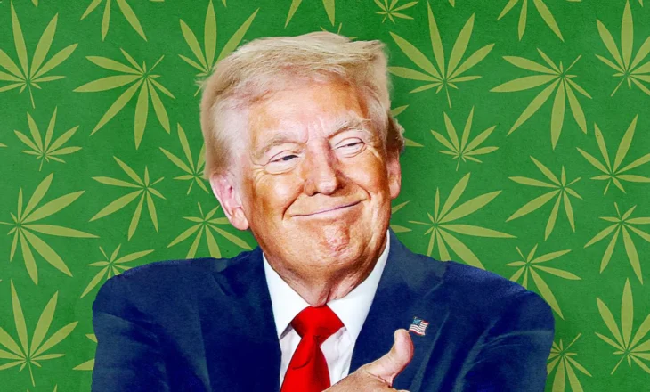 Industria e kanabisit financoi fushatën e Trump, presidenti do t’i kthejë “borxhin”