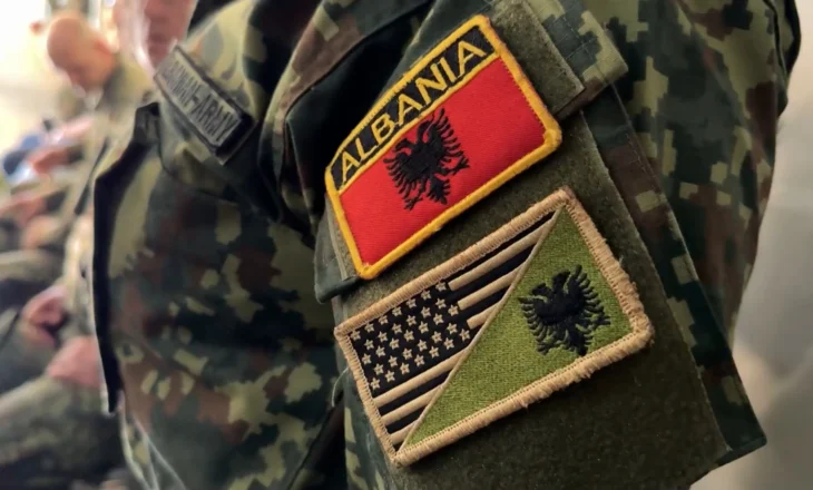 Investimet në modernizimin e flotës shqiptare, Vengu: Sipas standardeve të NATO-s