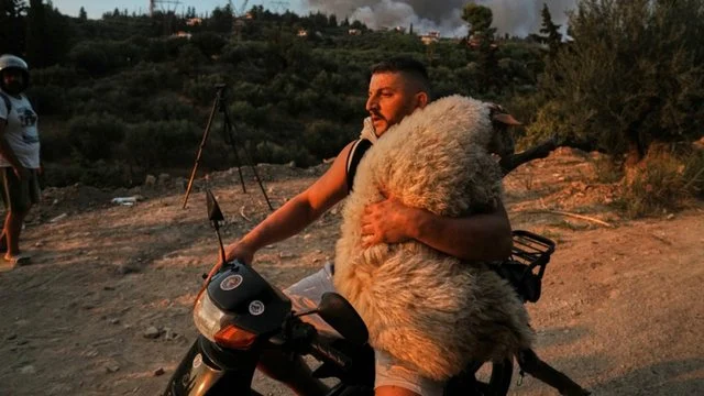 “Kafshët ishin të lidhura, krim!”/ Flet shqiptari, ikonë e zjarreve në Greqi me delen në krah