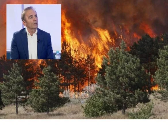 “Kambanë alarmi, janë mln euro dëme këtë verë”/ Zjarret në vend, flet eksperti i sigurisë: E patolerueshme