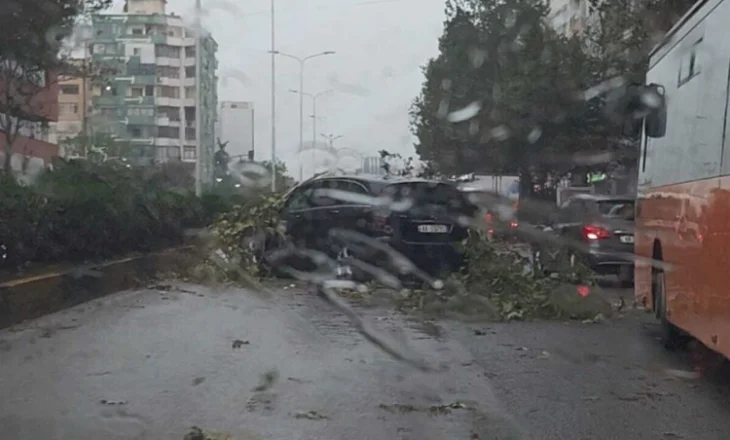 Kaos në kryeqytet/ Stuhia bën kërdinë në Tiranë, pemët përfundojnë mbi makina