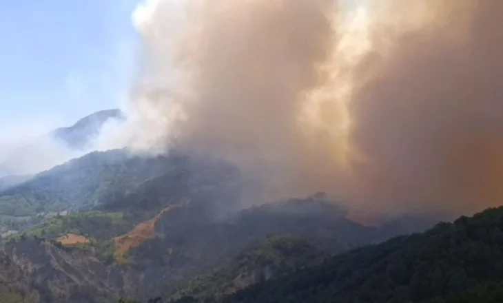 Kërkohet ndihmë urgjente në fshatrat e Gramshit, dyshohet për viktima