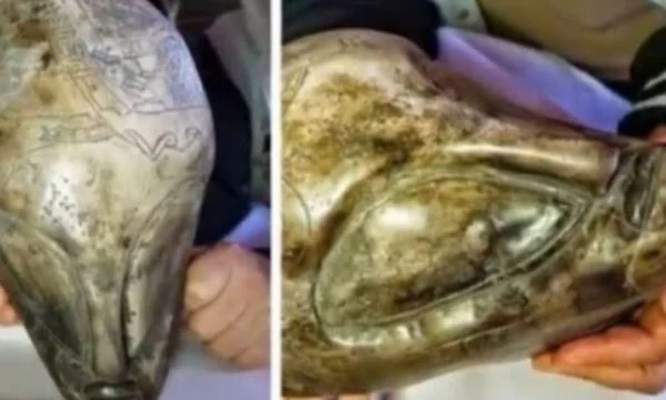 Këto janë provat më bindese të gjetura së alienët ekzistojnë￼