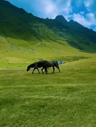 Kryeministri Rama “zgjohet” te bjeshkët e Doberdoillit (video)