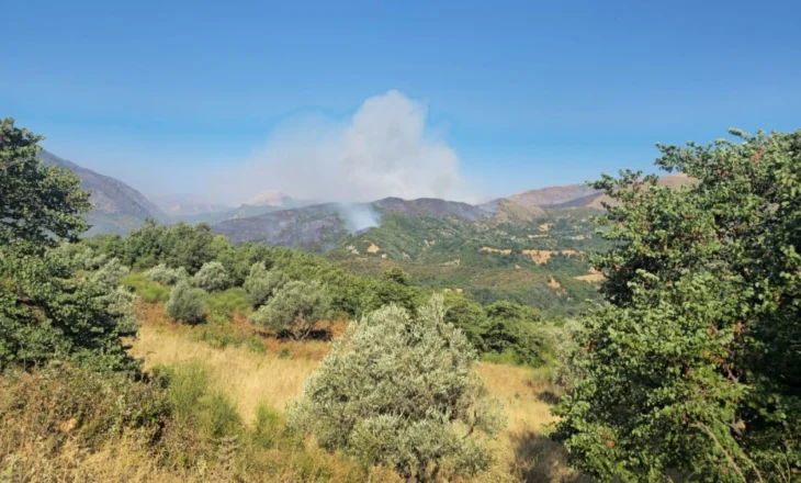 LAJM I MIRË – Zjarri në Syrin e Kaltër është arritur të fiket