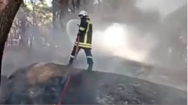 Makina përfshihet nga flakët në Pyllin e Sodës, rrezikohet masivi pyjor në Vlorë