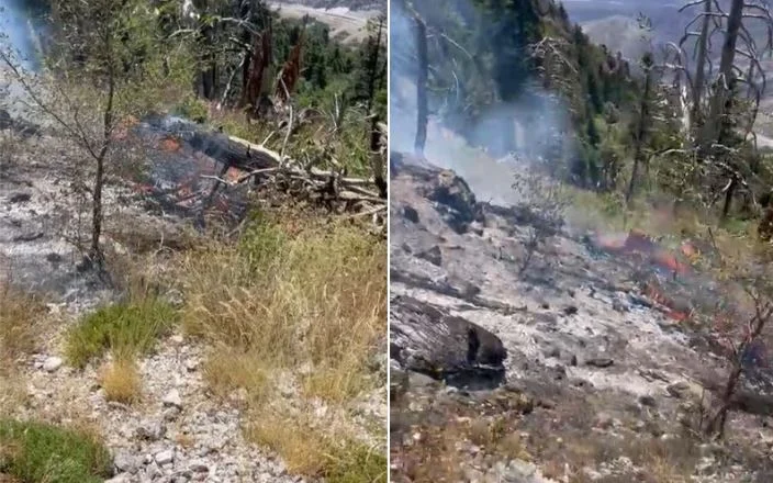 Mali në flakë, situata alarmante! Zjarri rrezikon të dalë jashtë kontrollit!