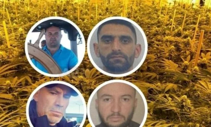 ‘Mbushën’ Greqinë me drogë! Arat me kanbis i kontrollonin me GPS e dronë, pranga financuesve, ‘kokat’ në kërkim
