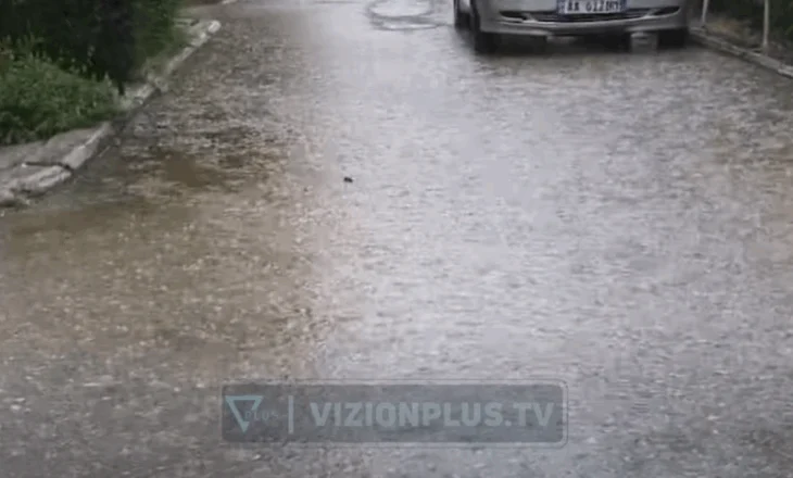 Moti i keq godet Shqipërinë! Reshje shiu, pemë të rrëzuara e vështirësi në qarkullim në disa qytete