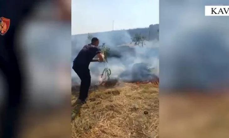 Ndalohen autorët e zjarreve që përfshinë pemët frutore në Kavajë dhe Rrogozhinë