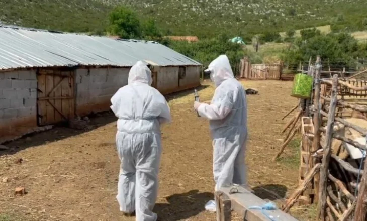 Ndalohet pjesërisht importi nga disa shtete i shpendëve me sëmundje dhe i derrave të prekur nga murtaja afrikane