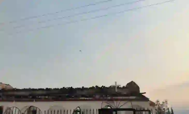Në Lefterhor të Delvinës digjen edhe kosheret, bletët ‘pushtojnë’ fshatin