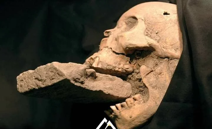 Në mesjetë besohej se “vampirët” ishin shkaku i sëmundjes së murtajës!